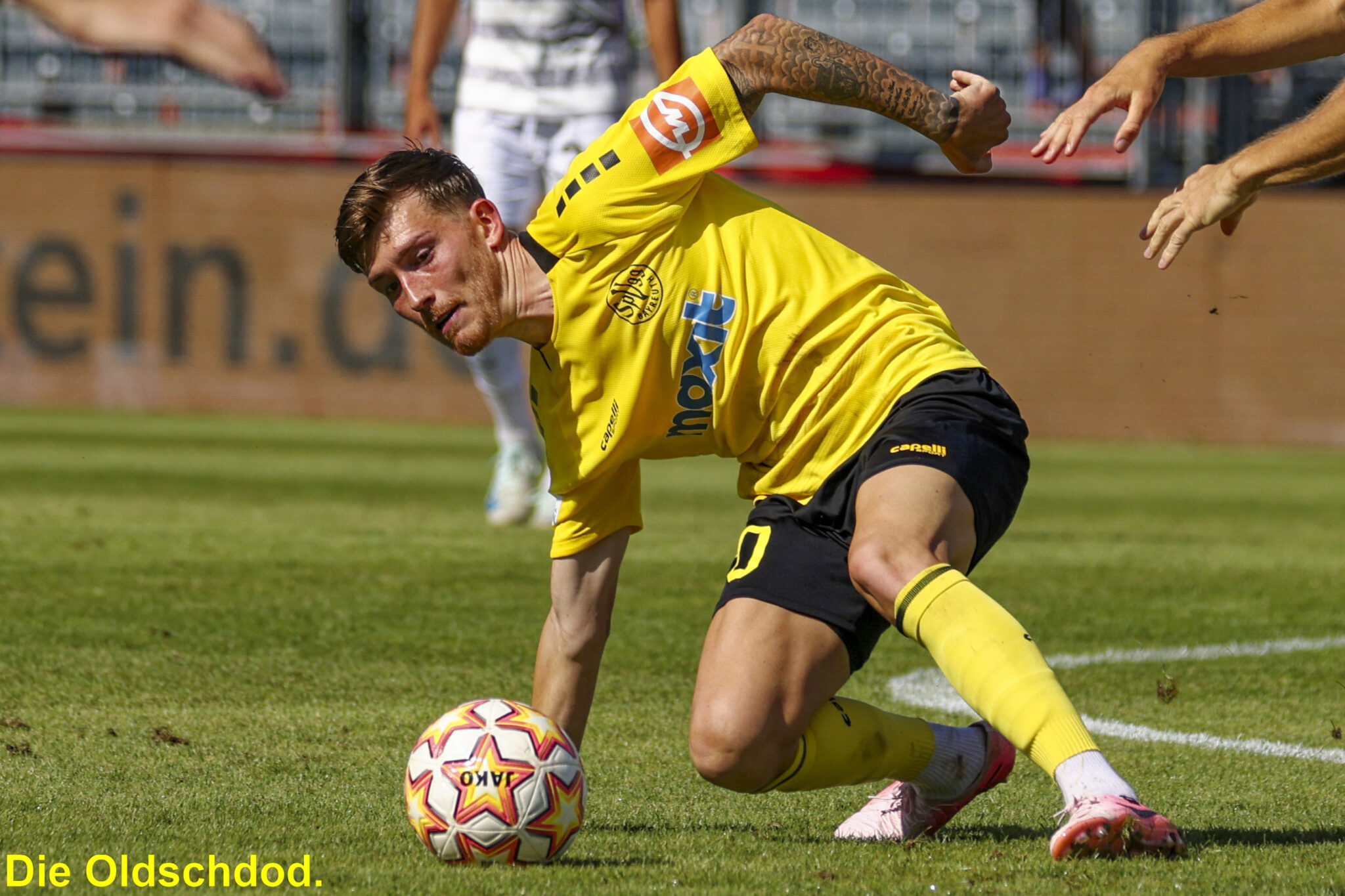 spvgg-bayreuth-aktuelles-bilder-wurzburger-kickers-1
