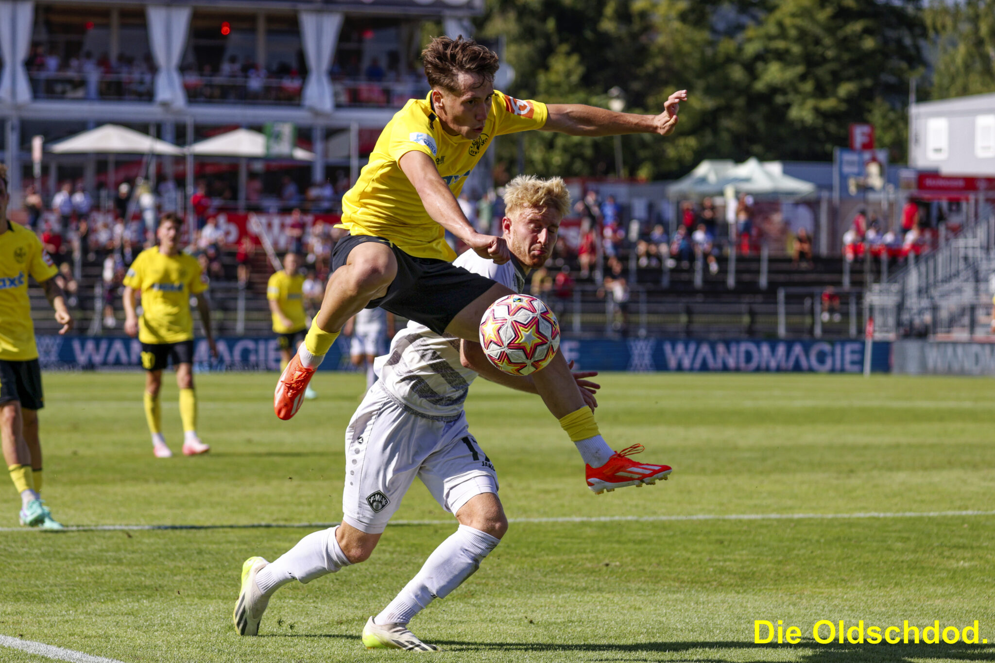 spvgg-bayreuth-aktuelles-bilder-wurzburger-kickers-12