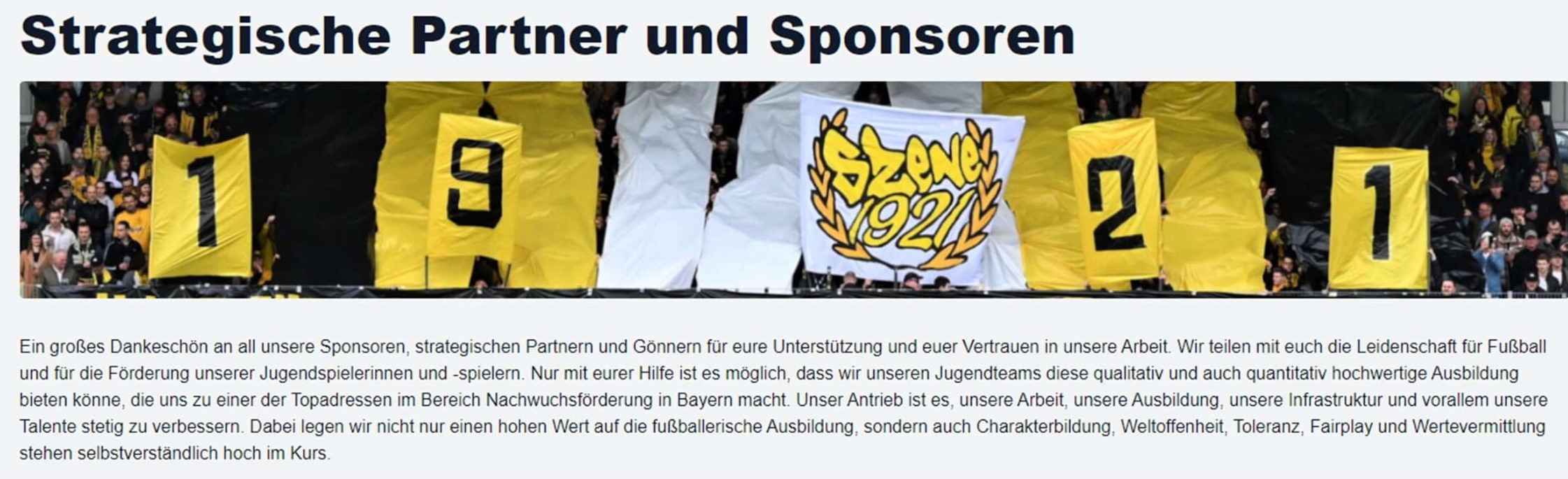 Strategische Partner und Sponsoren-1