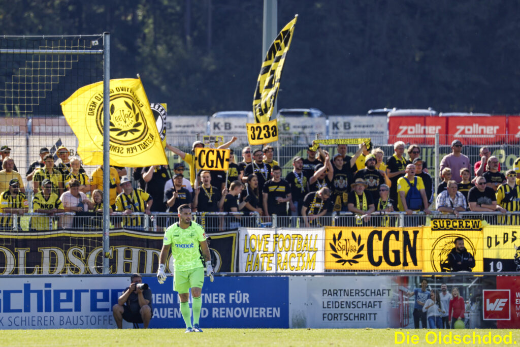spvgg-bayreuth-aktuelles-bilder-djk-vilzing-10