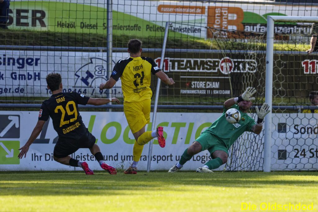 spvgg-bayreuth-aktuelles-bilder-djk-vilzing-7
