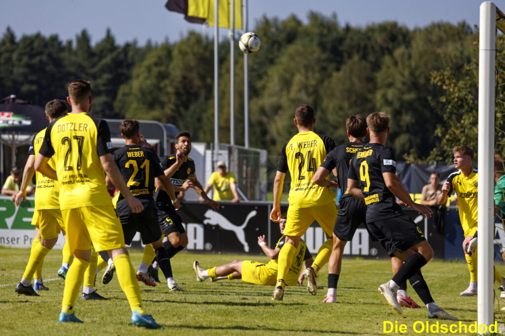spvgg-bayreuth-aktuelles-bilder-djk-vilzing-8