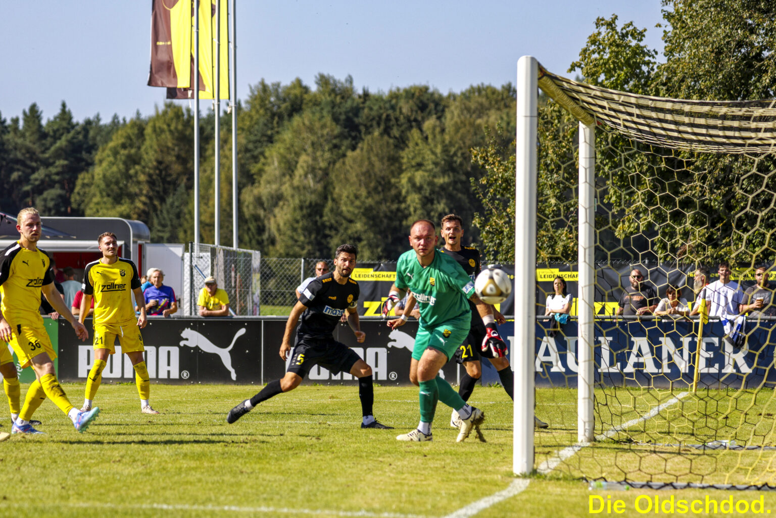 spvgg-bayreuth-aktuelles-bilder-djk-vilzing-9