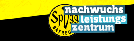 Bild 2 NLZ